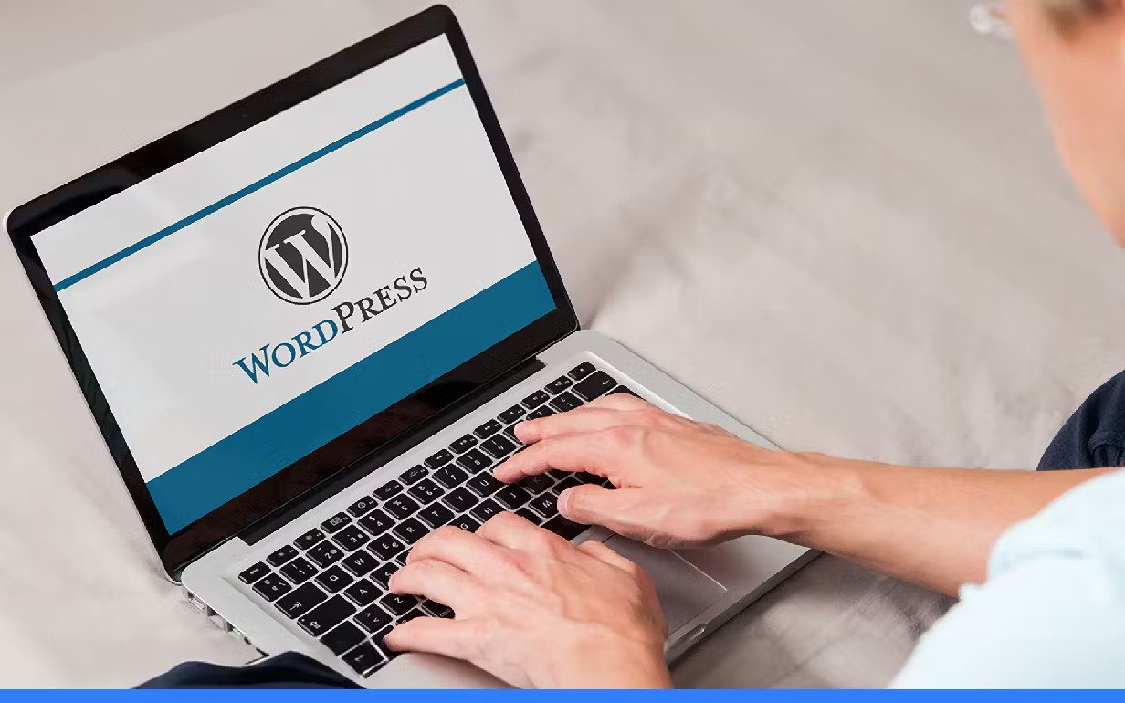 WordPress Developer